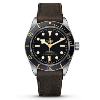 Tudor Black Bay 58 - Piel