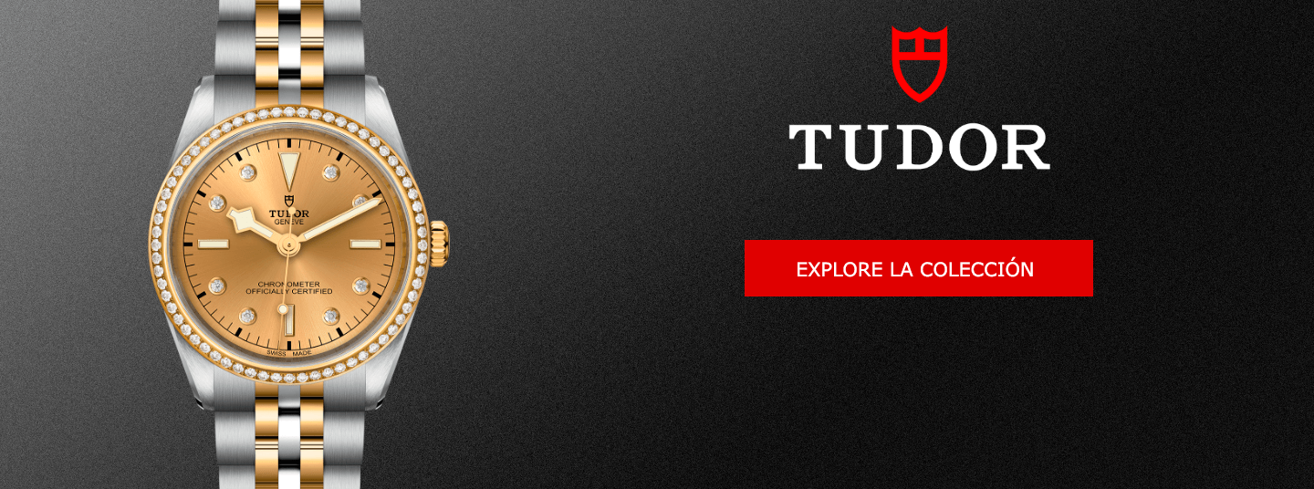 TUDOR Black Bay acero y oro