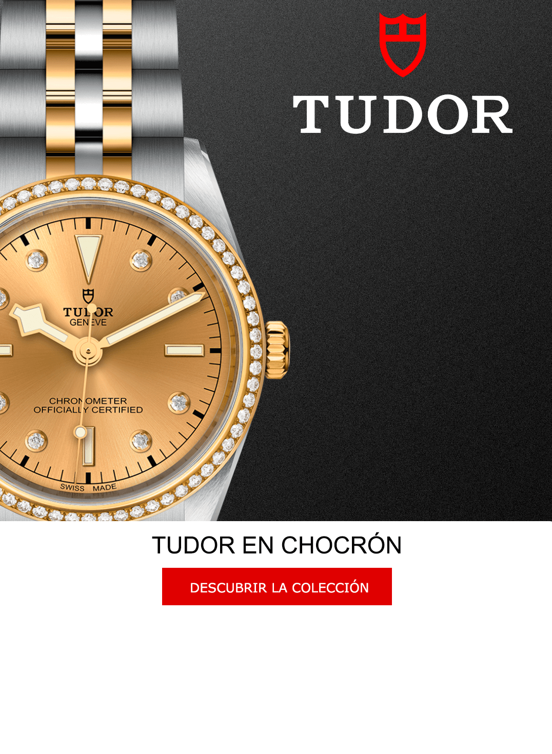 TUDOR Royal acero y oro