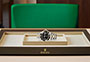 Presentación watchdesk reloj Rolex Sea-Dweller de acero Oystersteel, oro amarillo y esfera negra en Chocrón Joyeros