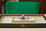 Presentación reloj Rolex Yacht-Master 40 de acero Oystersteel y oro Everose y esfera chocolate en Chocrón Joyeros